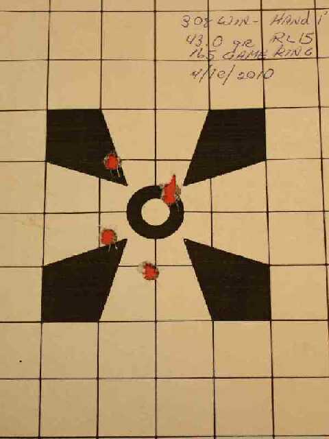 .308 target